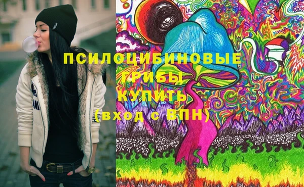 эйфоретик Алзамай