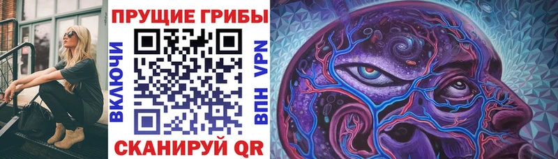 МЕГА ссылки  где продают наркотики  Лагань  Галлюциногенные грибы Psilocybine cubensis 